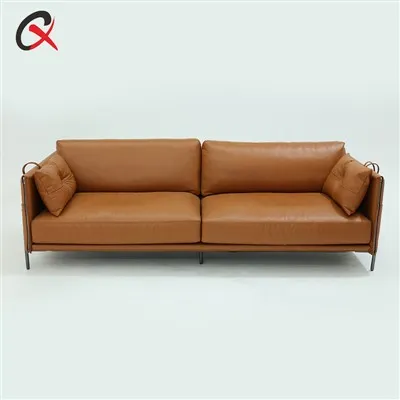 Kleine 2 Sitzer Ledersofa